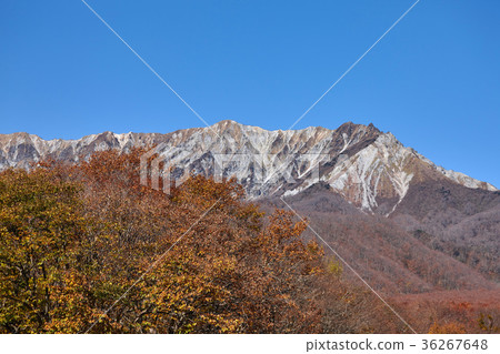 Oyama seen from Oku Oyama ski resort 36267648