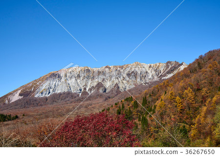 Oyama seen from the keyhole 36267650