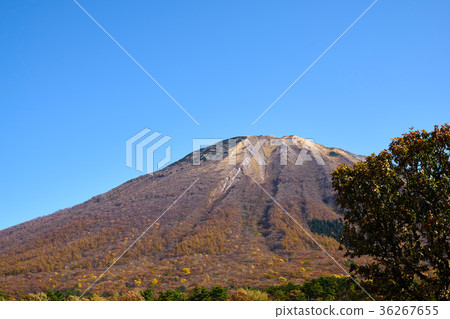 Oyama seen from the spring water plateau 36267655