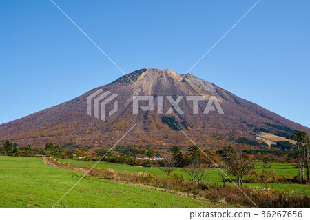 Oyama seen from the spring water plateau 36267656