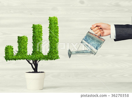 Concept of investment income and growth with tree in pot 36270358