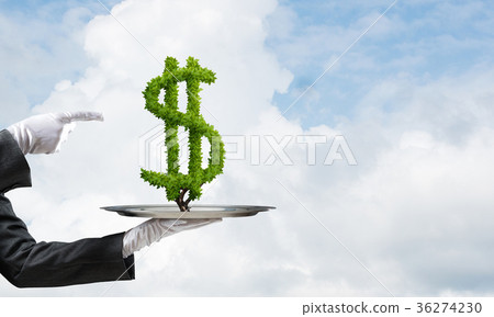 Hand of waitress presenting dollar sign on tray. 36274230