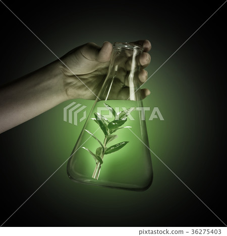 Tube with green sprout Tube with green sprout 36275403