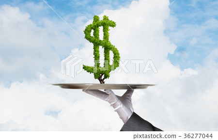 Hand of waitress presenting dollar sign on tray. Hand of waitress presenting dollar sign on tray. 36277044