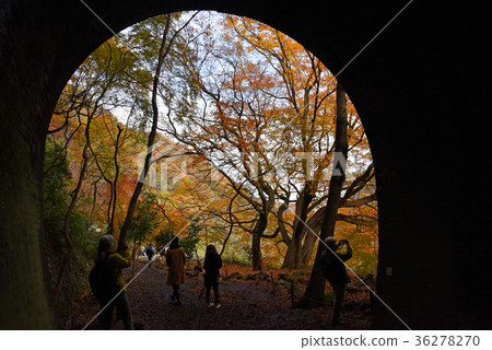 Aiki Tunnel 36278270