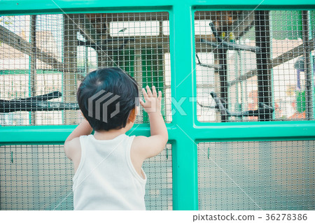 兒童 孩子 小孩 36278386
