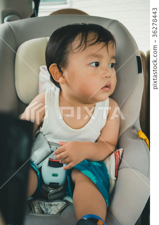 1 year old, younger, person 36278443
