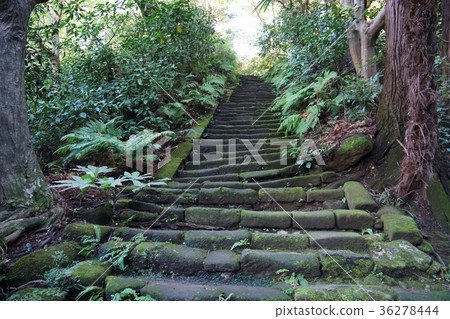 Kamakura Yusen-ji Temple Zuisenji-temple 36278444