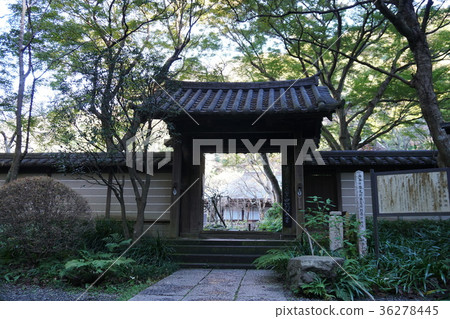 Kamakura Yusen-ji Temple Zuisenji-temple Kamakura Yusen-ji Temple Zuisenji-temple 36278445