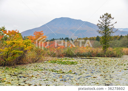 Imori Pond和Mt. Myoko Imori Pond和Mt. Myoko 36278602