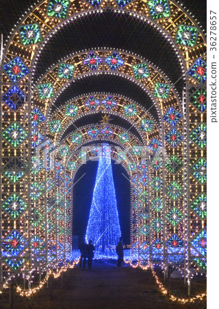 Kyoto Irumier（Nantan City，Kyoto Pref.Sonobecho） 36278657