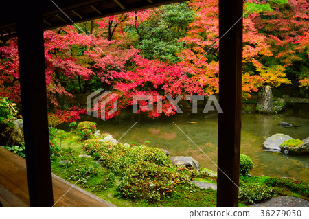 Autumn Reihoku Imoyama Renji Temple Autumn Reihoku Imoyama Renji Temple 36279050