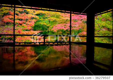 Authority Rurikoin Authority Rurikoin 36279507