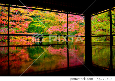 Authority Rurikoin 36279508