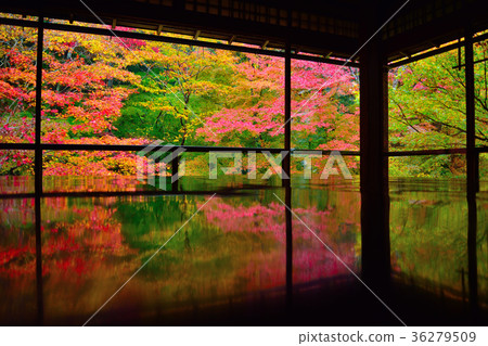 Authority Rurikoin Authority Rurikoin 36279509