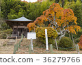 Iwade City, Fukushima Prefecture, Mid-Kamdooro 36279766