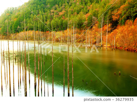秋天Mitake自然湖Takioshi自然湖 36279935