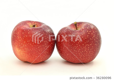 Apple(Tenyuki) Apple(Tenyuki) 36280096