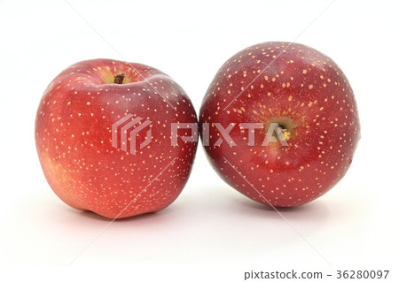 Apple（Tenyuki） 36280097