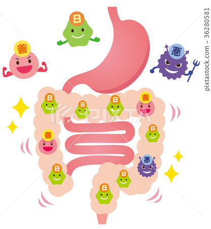 腸道菌群好細菌細菌壞細菌機會細菌 36280581