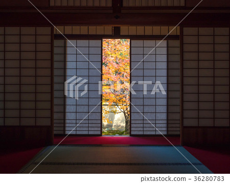 Yunryuin's Shoin-Gorokan 36280783