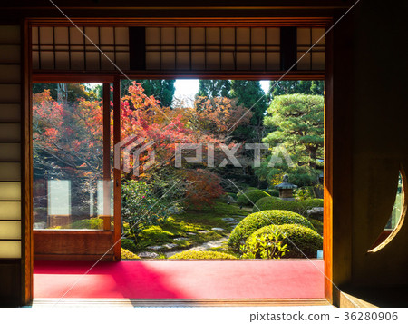 秋天雲彩Ryuin 36280906