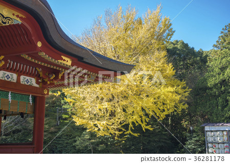 Tsuruoka Hachimangu Shrine 36281178