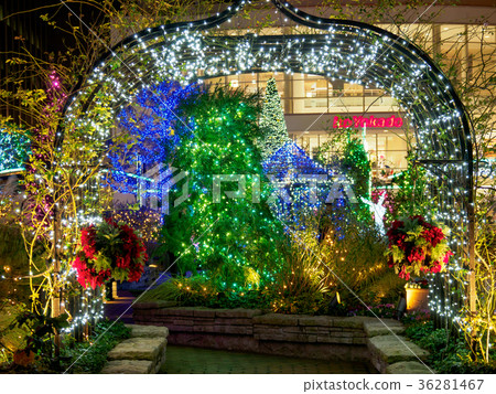 Fukagawa Gatheria Illumination Fukagawa Gatheria Illumination 36281467