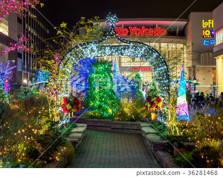 Fukagawa Gatheria Illumination Fukagawa Gatheria Illumination 36281468