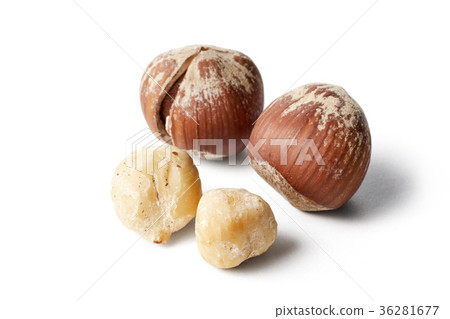 榛子（背飛，陰影iki） 36281677