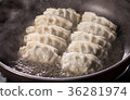 Japanese Gyoza  36281974