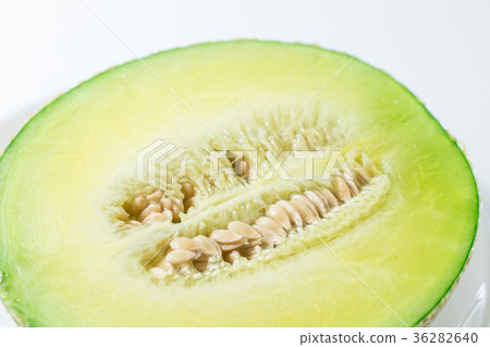 melon melon 36282640