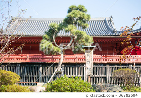 Ueno Park Kiyomizu Kannondo and Tsukinomatsu 36282694