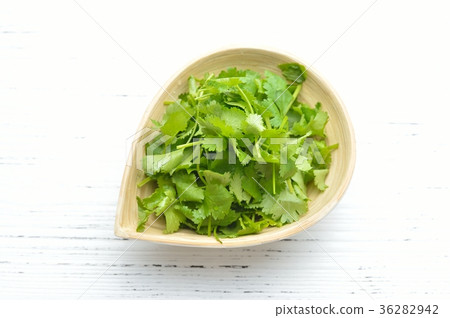 Pakchi, delicacies, Thai food, ethnic food, herbs. 36282942