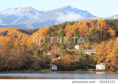 Matsubara Lake Matsubara Lake 36283131