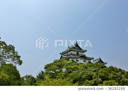 Wakayama Castle 36283288