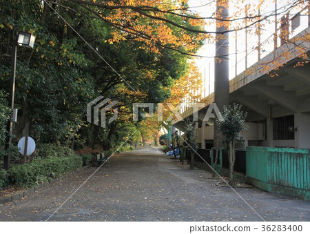 神奈川縣相模原市橫山公園 神奈川縣相模原市橫山公園 36283400