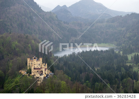 Hohenschwangau Castle in fog 36283428