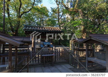 Kusunoki Tombstone 36283707