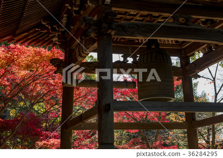 Toshinji寺廟秋天風景 Toshinji寺廟秋天風景 36284295