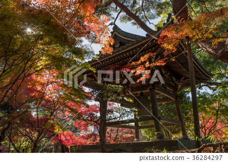 Toshinji寺廟秋天風景 Toshinji寺廟秋天風景 36284297