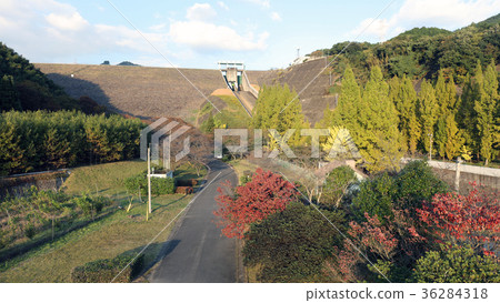 Aerial view Dam illuminated by the sunset (Asakura City Terauchi Dam) 36284318