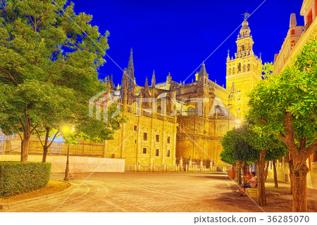 Cathedral of Saint Mary of the See Cathedral of Saint Mary of the See 36285070