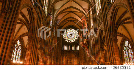 Cathedral Notre Dame of Strasbourg, Bas Rhin 36285551