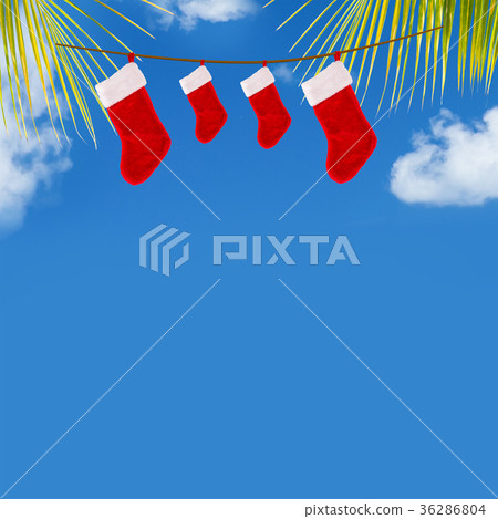 Christmas stockings hanging on coconut palm tree Christmas stockings hanging on coconut palm tree 36286804