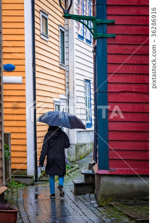 Walking in rain in Bergen 36286916