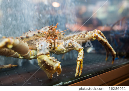 Live crab on sale 36286931