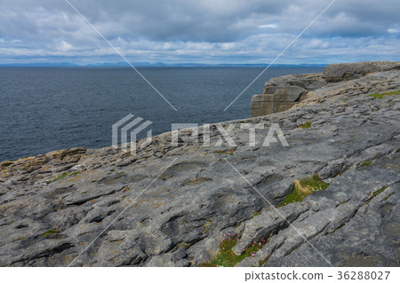 Cliffs edge in Doolins Bay Cliffs edge in Doolins Bay 36288027