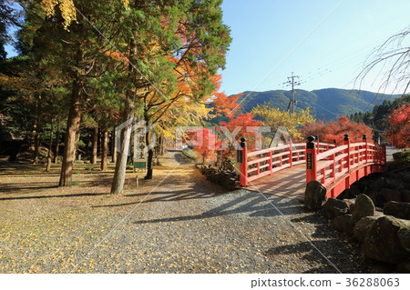 Gwana Shrine Hanagawa Bridge 36288063