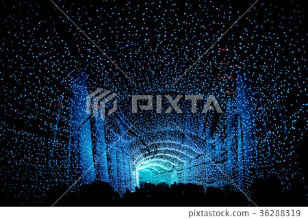 time Tunnel 36288319
